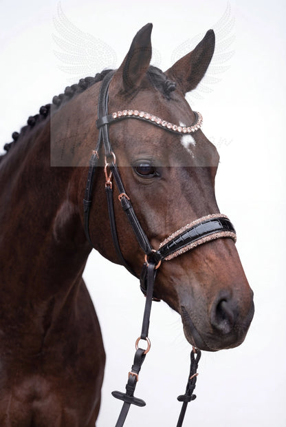 NEW PRODUCT LAUNCH Kroko Edition CR Harmonybridle - gebisslose Trense für Pferde - Ansicht 11