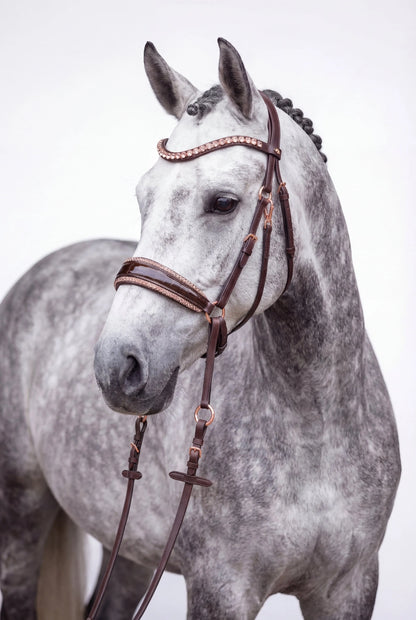 NEW PRODUCT LAUNCH Kroko Edition CR Harmonybridle - gebisslose Trense für Pferde - Ansicht 12