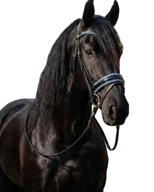 Nasenriemen Lackleder mit Crystal Rocks Ice Blue und Silver Dust – Luxus für dein Pferd CR-Harmonyequestrian