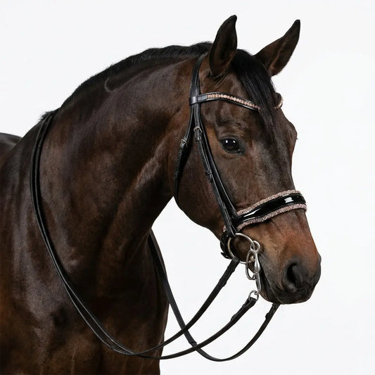 Nasenriemen Lackleder mit Crystal Rocks in Bronze-Silver – edler Glanz für höchste Ansprüche CR-Harmonyequestrian