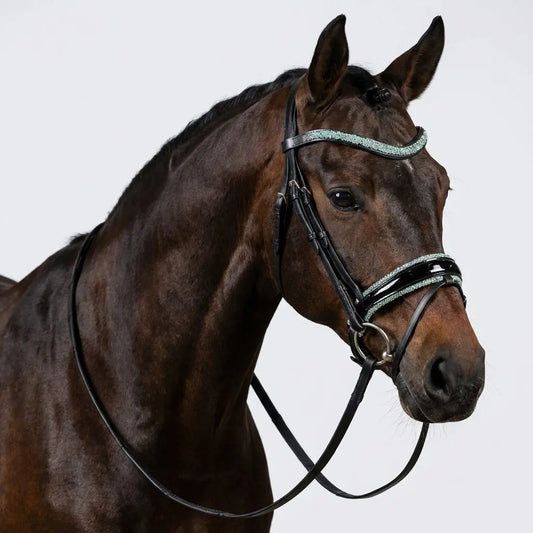 Nasenriemen Mint Crystal CR-Harmonyequestrian