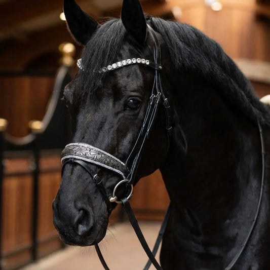 Nasenriemen „Silver Lace“ – 4 Reihen Crystal Rocks & edles Lace-Design CR-Harmonyequestrian