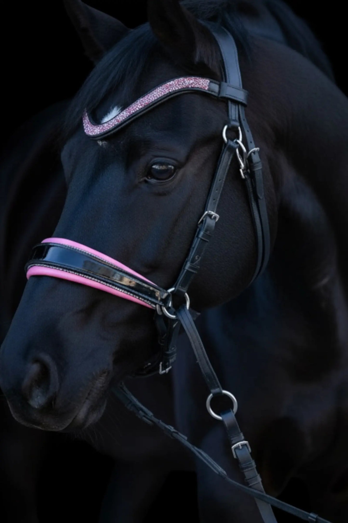 Pink Edition CR Harmonybridle gebisslos - gebisslose Trense für Pferde - Ansicht 1