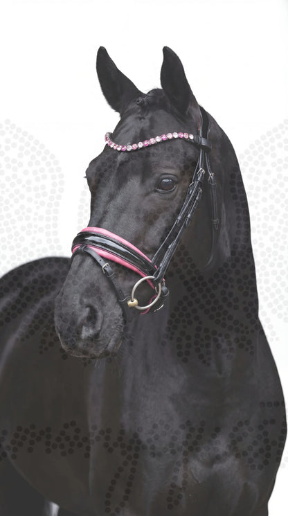 Pink Star Trense ist zurück CR-Harmonyequestrian 