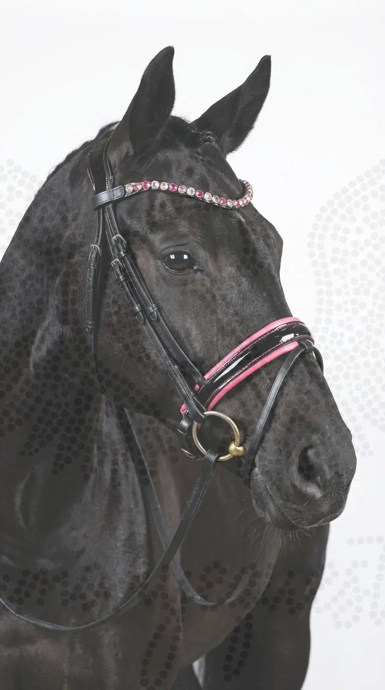 Pink Star Trense ist zurück CR-Harmonyequestrian 