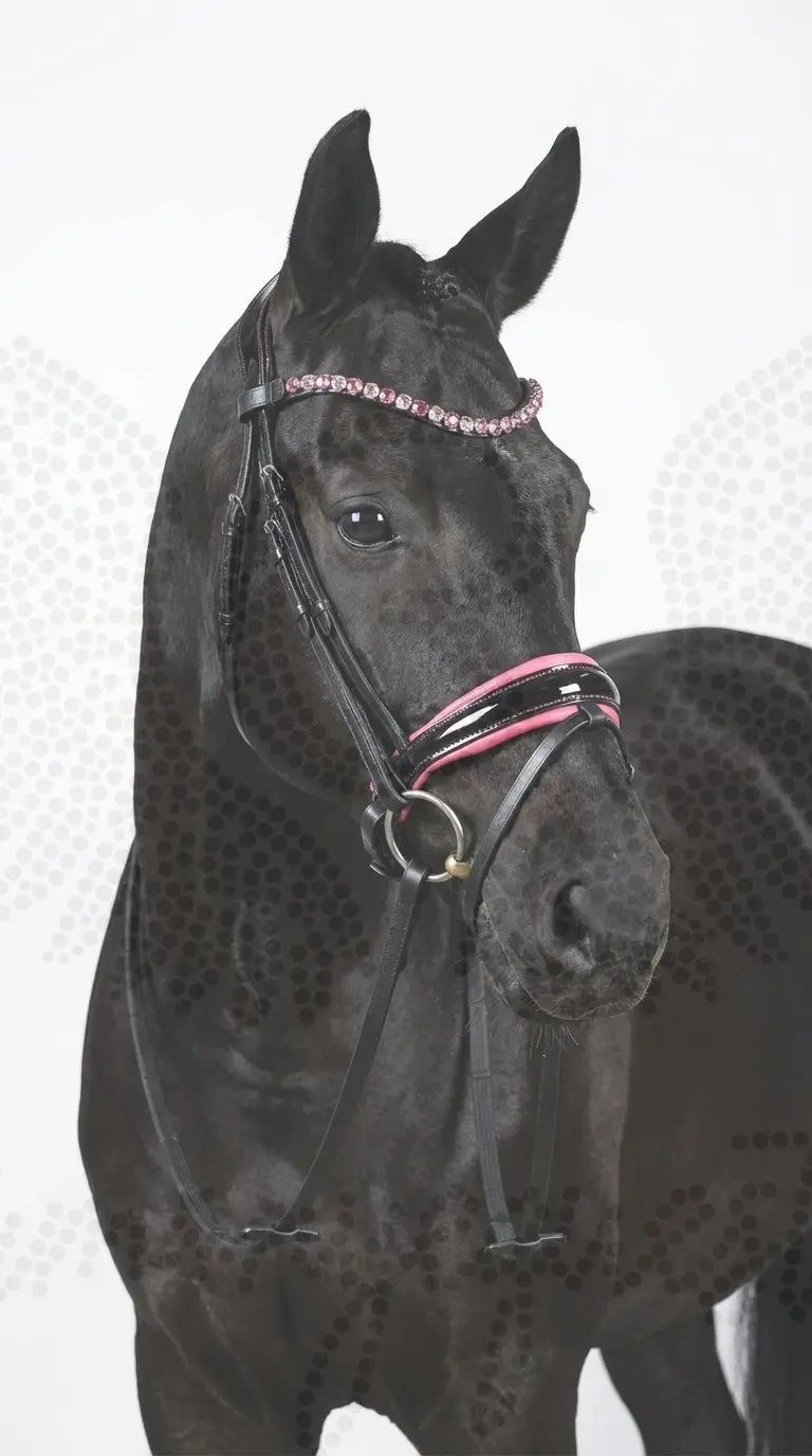 Pink Star Trense ist zurück CR-Harmonyequestrian 