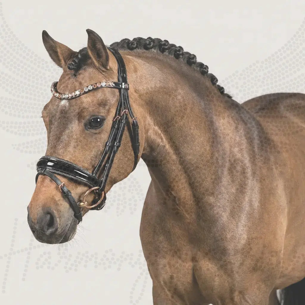Pony-Trense „Midnight Rose“ – Lack & Crystal Dust CR-Harmonyequestrian