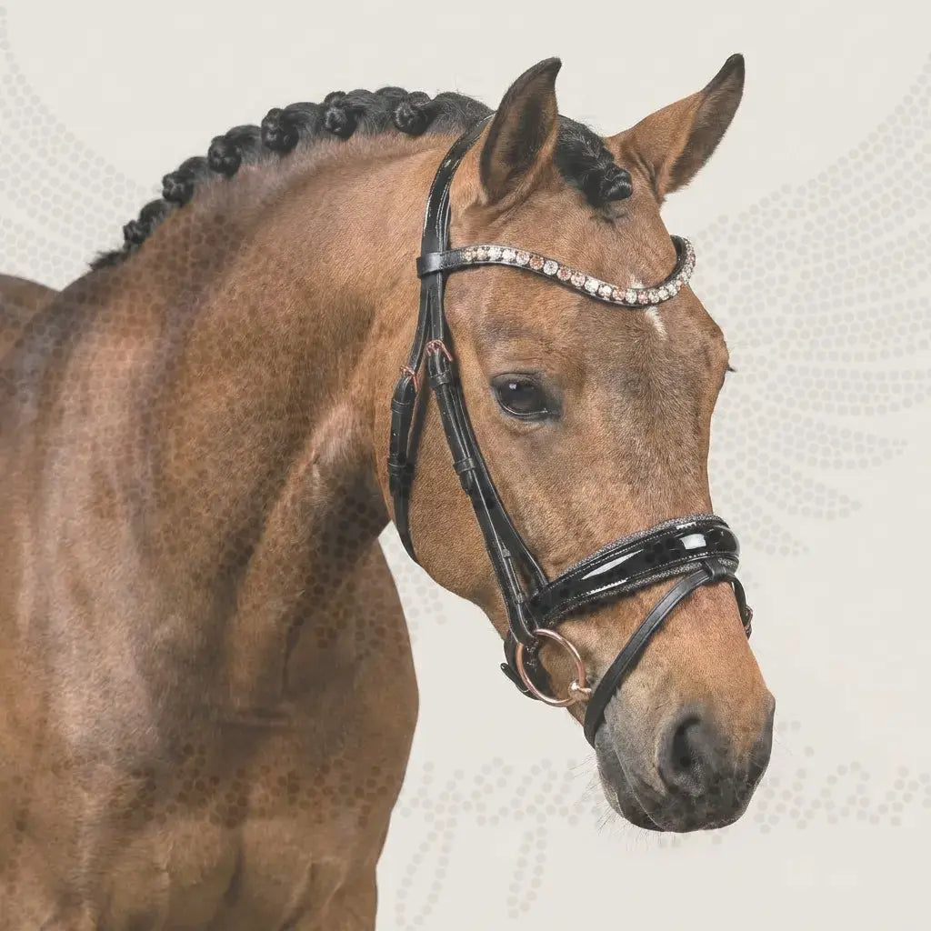 Pony-Trense „Midnight Rose“ – Lack & Crystal Dust CR-Harmonyequestrian