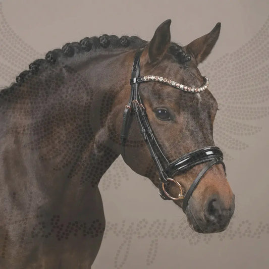 Pony-Trense „Midnight Rose“ – Lack & Crystal Dust CR-Harmonyequestrian