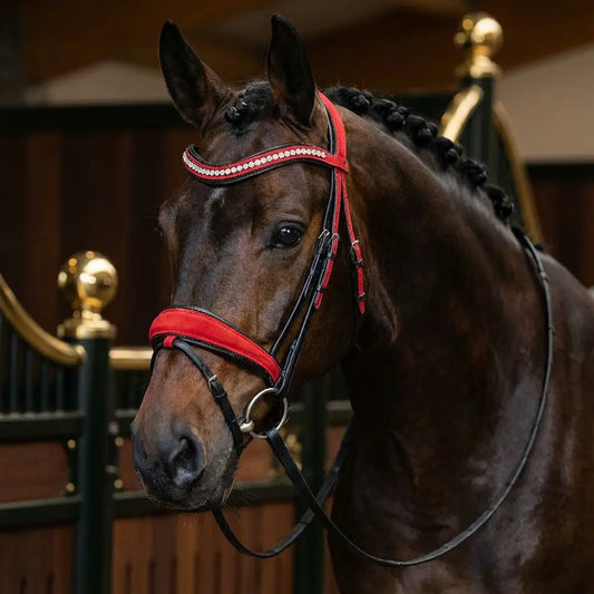 Red Velvet Trense WB CR-Harmonyequestrian
