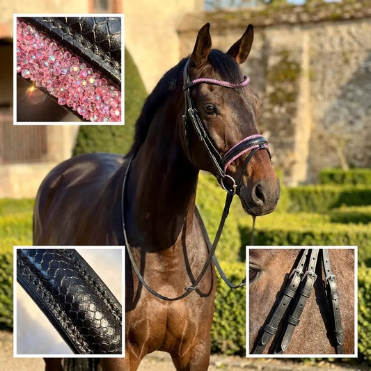 Reithalfter Black Venom Pink Crystal Stones CR-Harmonyequestrian