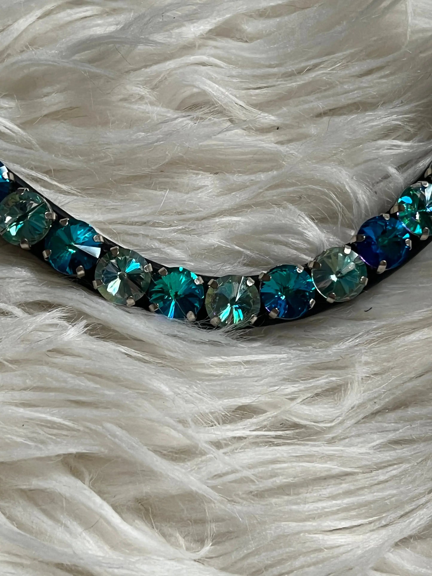 Blau-grüner Stirnriemen 12mm Rivoli mit Quick-Change Verschluss auf weißem Fell".