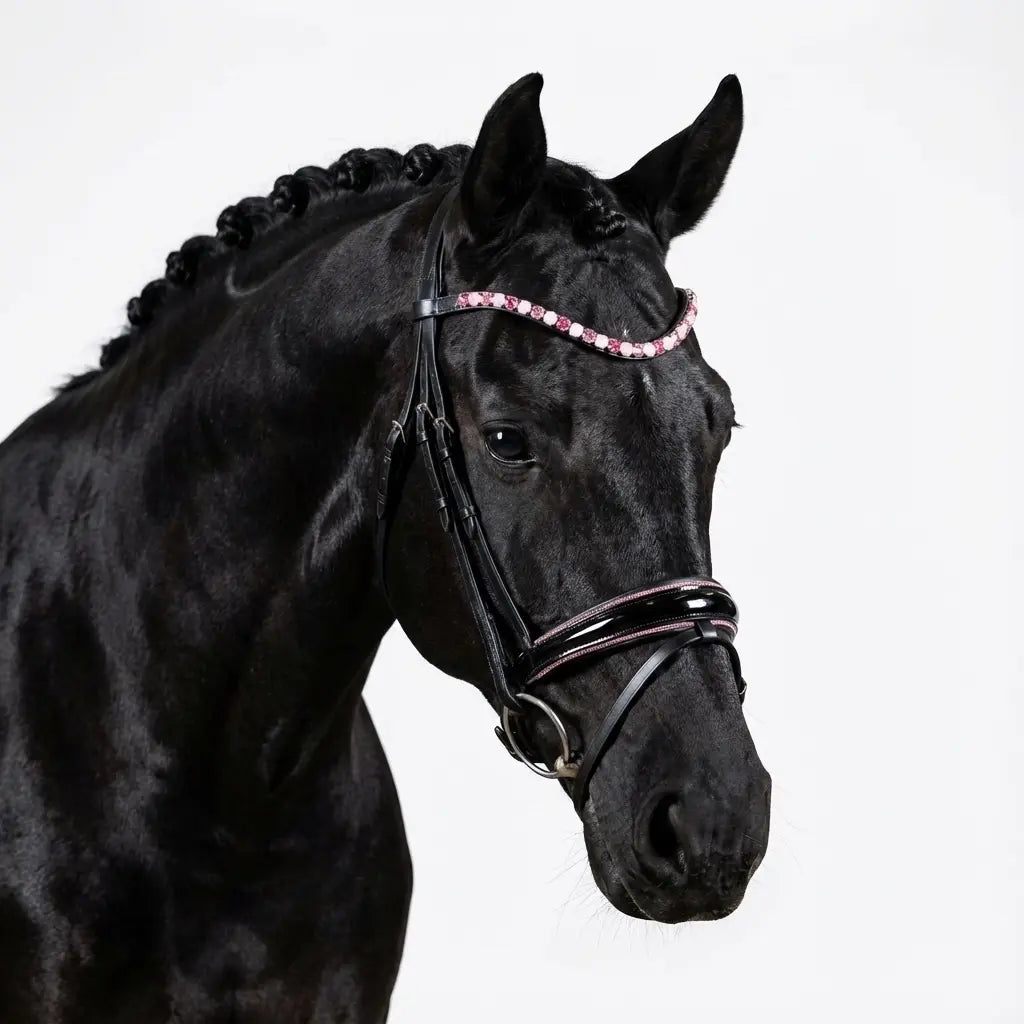 Trense Baby Pink CR-Harmonyequestrian