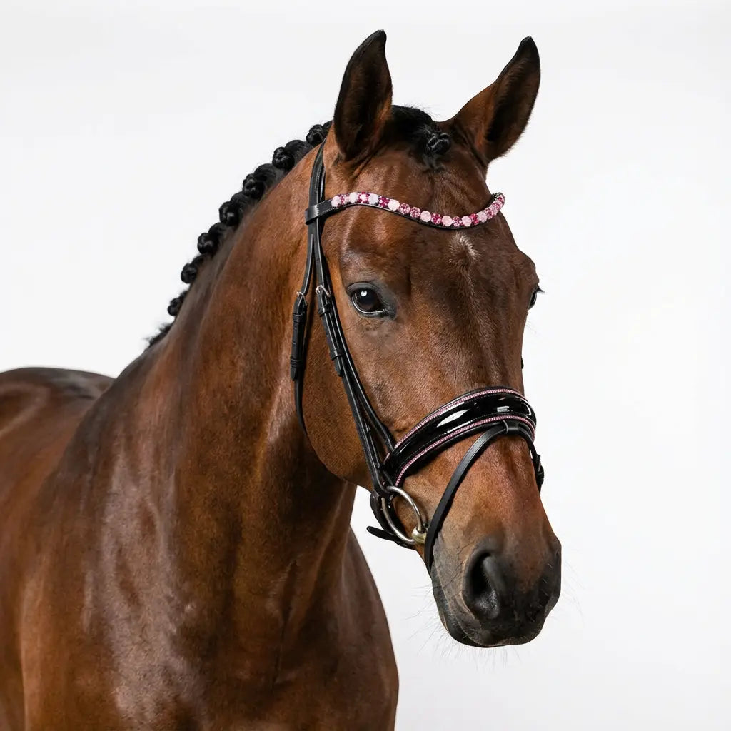 Trense Baby Pink CR-Harmonyequestrian