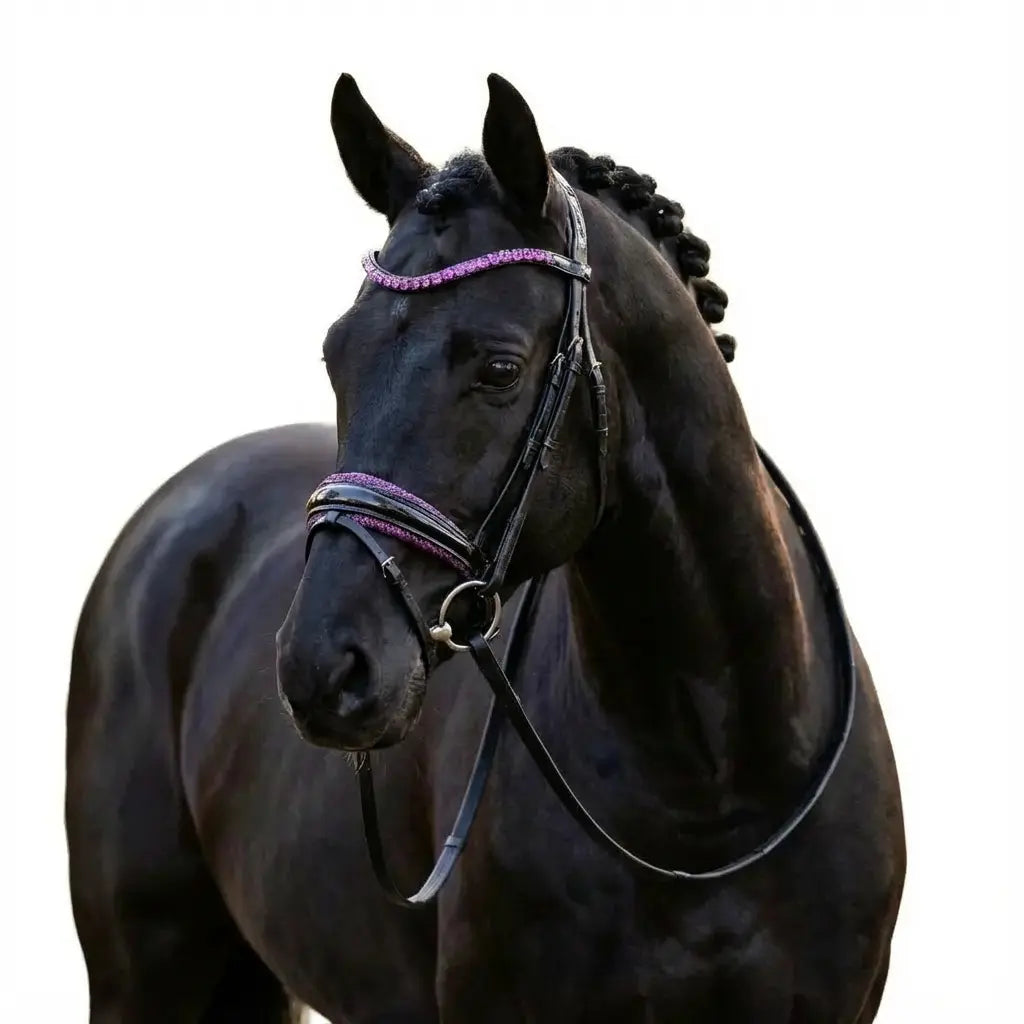 Trense Heliotrope Lux CR-Harmonyequestrian