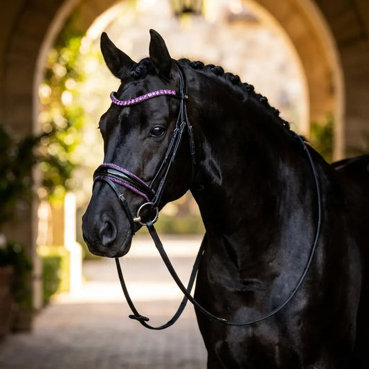 Trense Heliotrope Lux NEW CR-Harmonyequestrian
