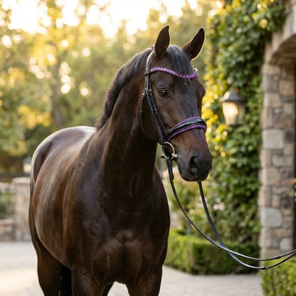 Trense Heliotrope Lux NEW CR-Harmonyequestrian