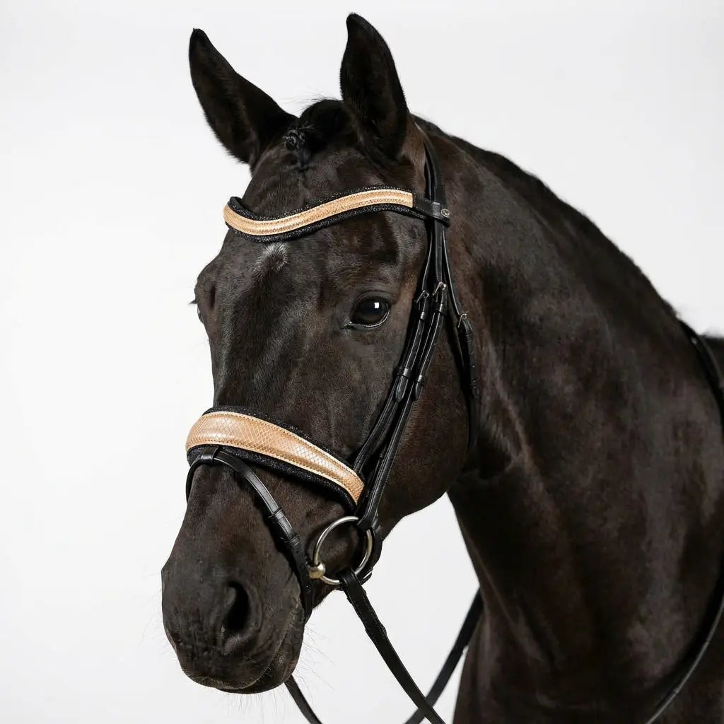 Trense Lizard Champagner-Rosé CR-Harmonyequestrian