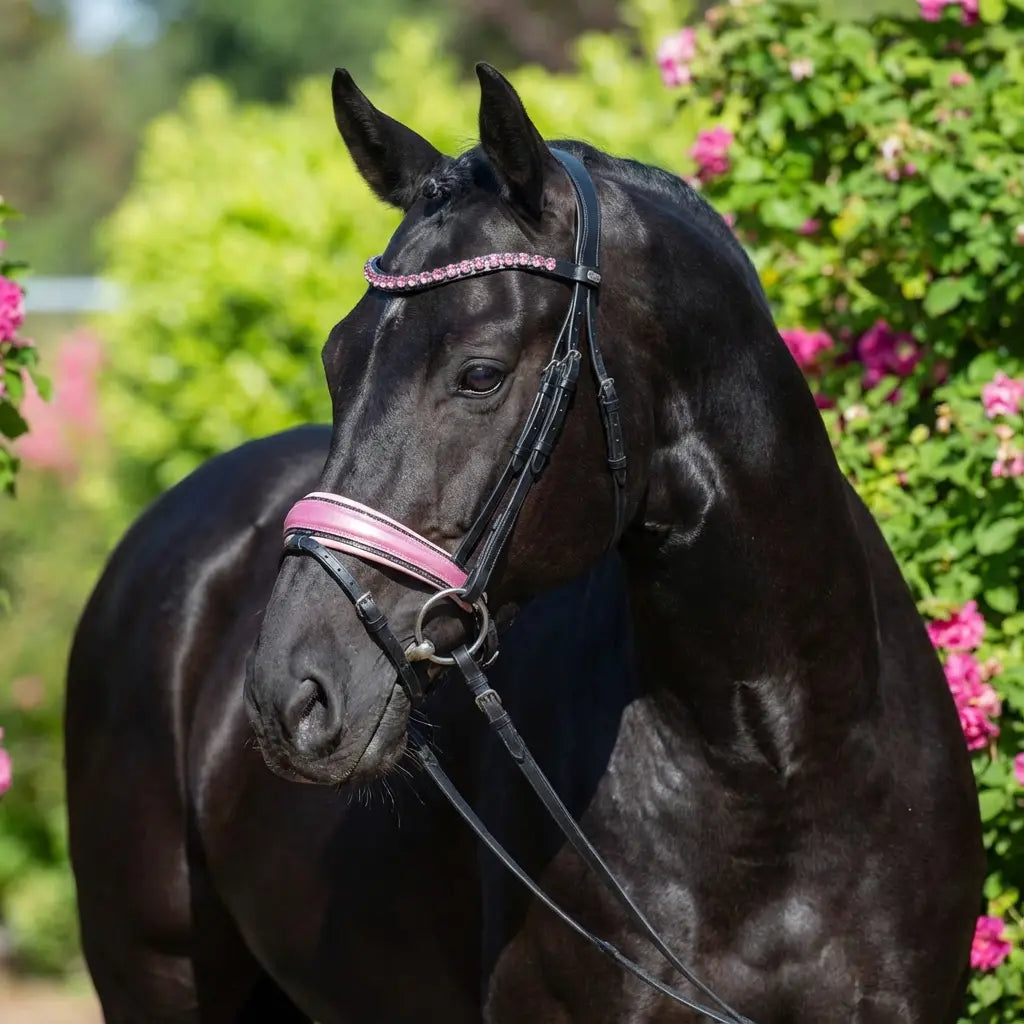 Trense Pink Glitter CR-Harmonyequestrian