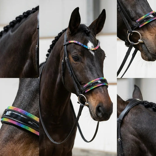 Trense Rainbow Crystal CR-Harmonyequestrian