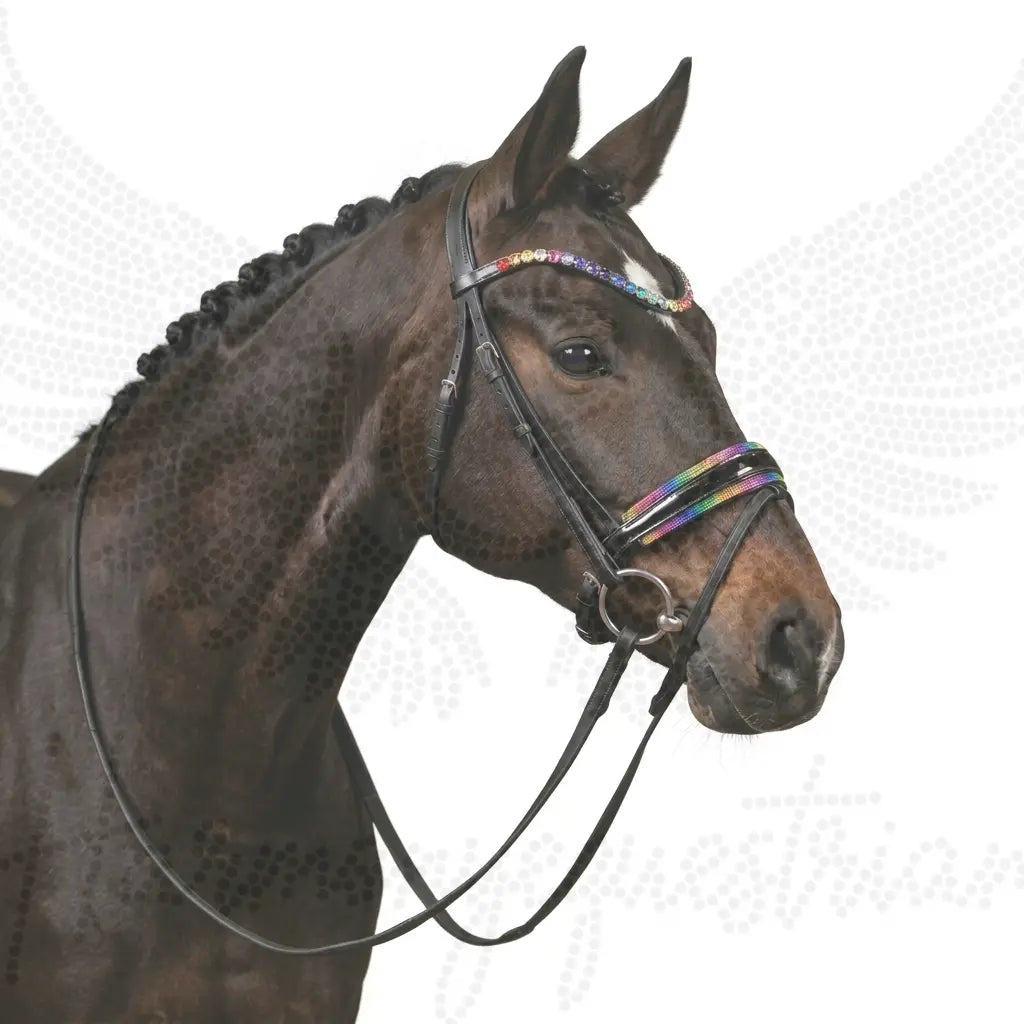 Trense Rainbow Crystal CR-Harmonyequestrian 