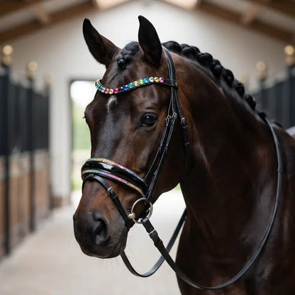 Trense Regenbogen  - Buntes Zaumzeug für Pferde CR-Harmonyequestrian