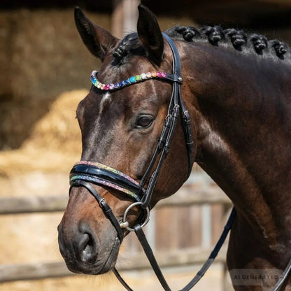 Trense Regenbogen – Flerkfarvet hestezaum CR-Harmonyequestrian