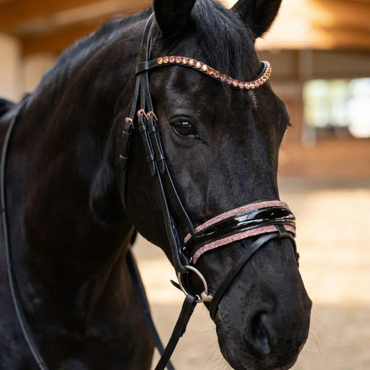 Trense Roségold Crystal CR-Harmonyequestrian