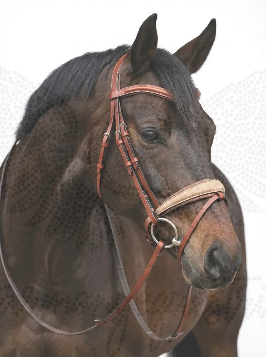 Trense Sienna CR-Harmonyequestrian 