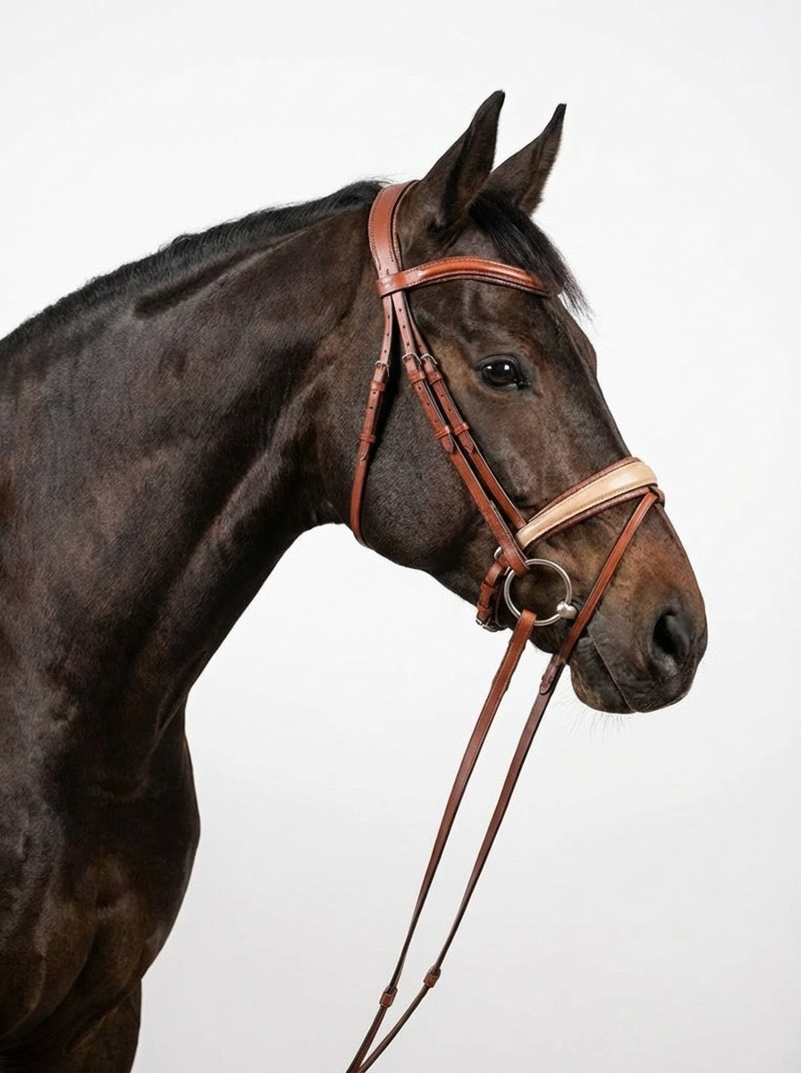 Trense Sienna CR-Harmonyequestrian 