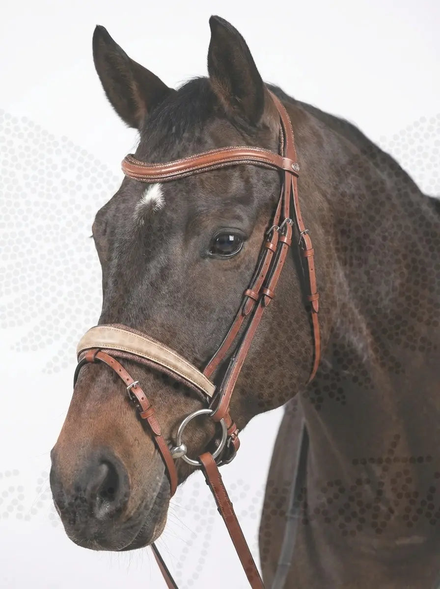 Trense Sienna CR-Harmonyequestrian 