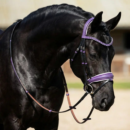 Trense Violet Grace CR-Harmonyequestrian