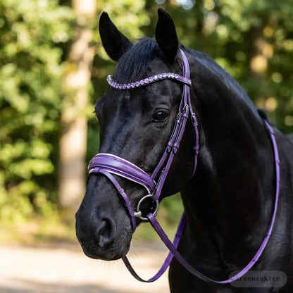 Trense Violet Grace CR-Harmony Équestre
