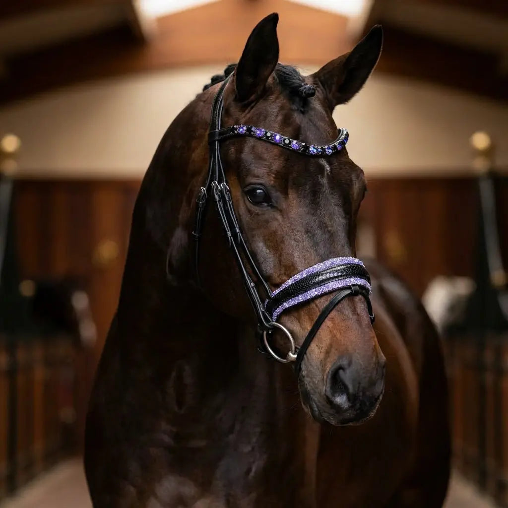 Trense Violett Lizard Pony - XXL CR-Harmonyequestrian