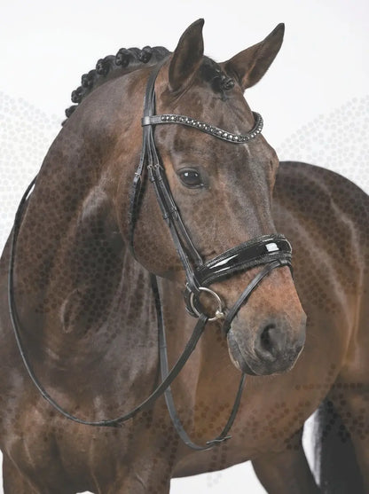 Trense "Black Diamond" – Edles Lackleder & Kristall-Glanz CR-Harmonyequestrian 
