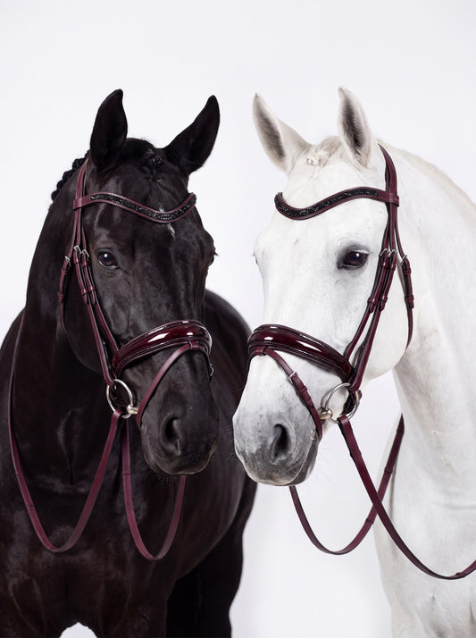 Bordeaux-Trense von CR Harmonyequestrian mit glänzendem Lacknasenriemen, schwarzen Kristallen und passenden Bordeaux-Zügeln an einem Rappen und einem Schimmel