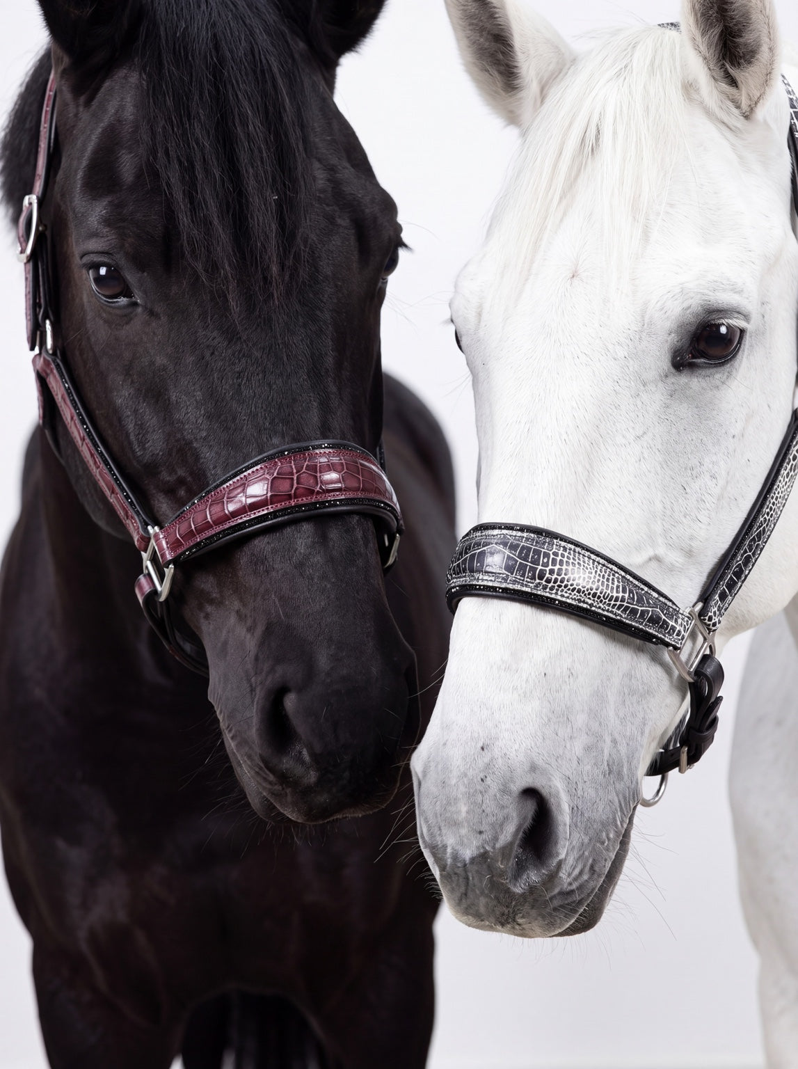 Halfter Croco Red links und Black & White rechts – Frontansicht der beiden Croco Editions mit silberfarbenen Beschlägen