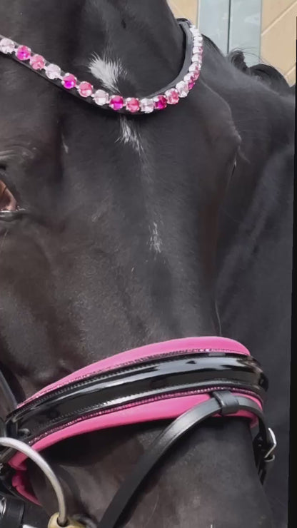 Pink Star Trense ist zurück