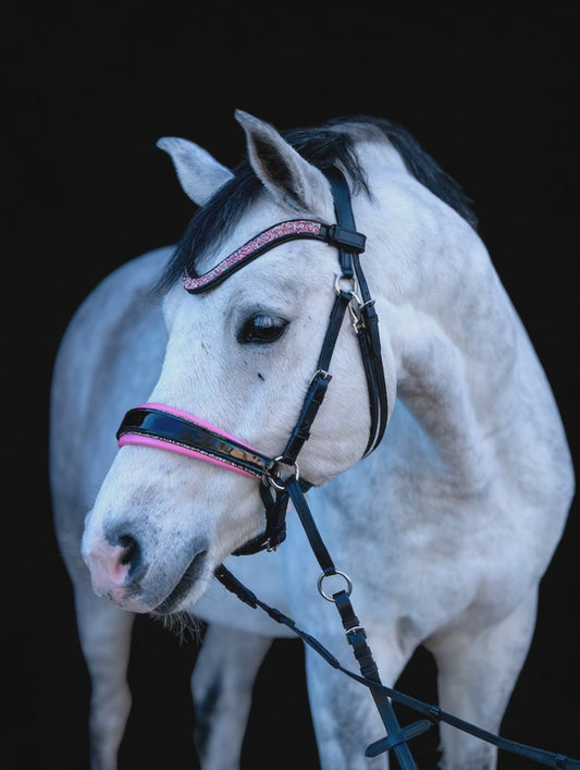 Pink Edition CR Harmonybridle gebisslos– Limitierte Auflage