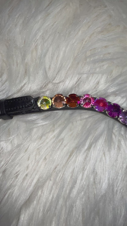 Rainbow Deluxe Stirnriemen