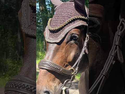 Fliegenmütze Million Dollar Sparkle – Video im Einsatz