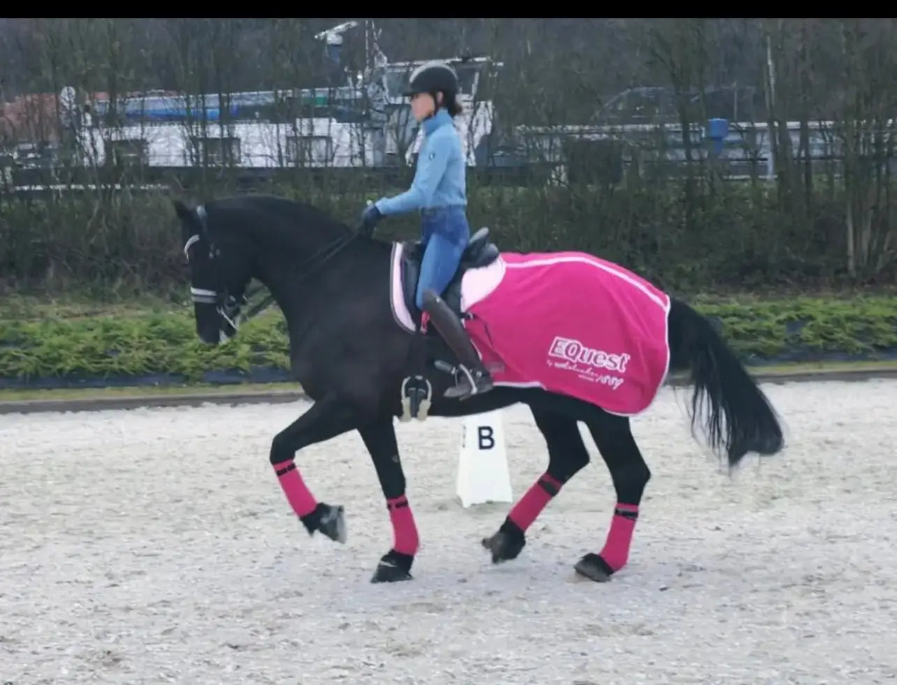 Onlineunterricht/Videoanalyse Gutschein - Gutschein