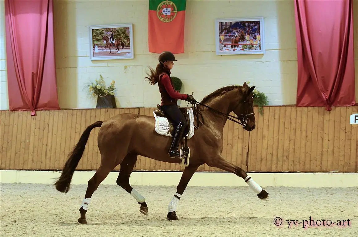 Onlineunterricht/Videoanalyse Gutschein - Gutschein